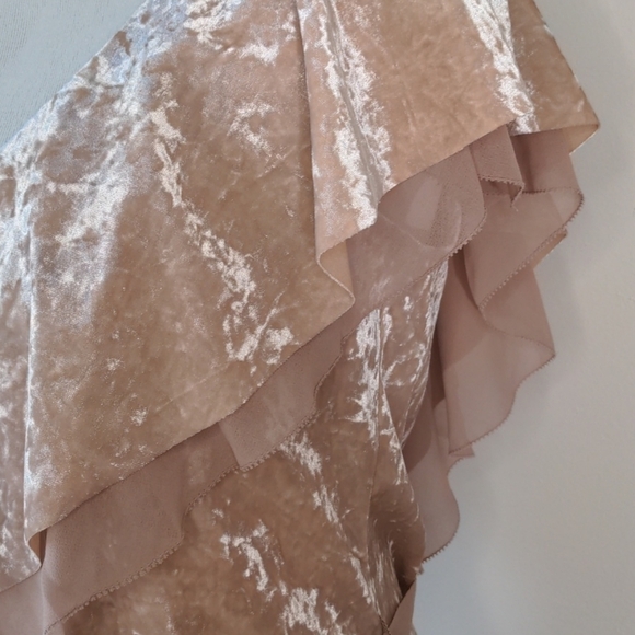 White House Black Market SS Velvet Flounce Top - Picture 5 of 8